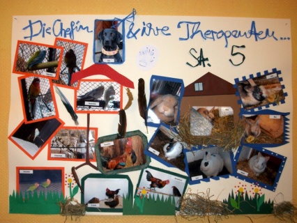 Tiergestützte Therapie mit Donna 