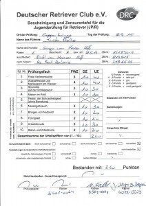 JPR Ginger vom Heveser Hoff